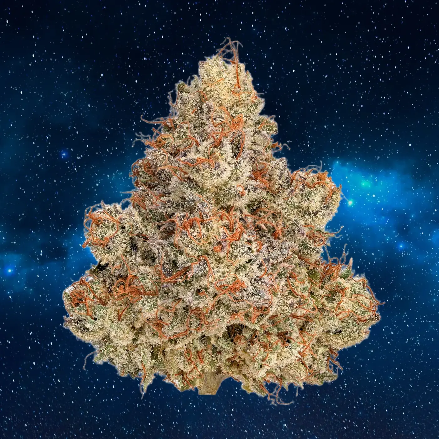 Cherry Ghostenade NECANN Winner Indica